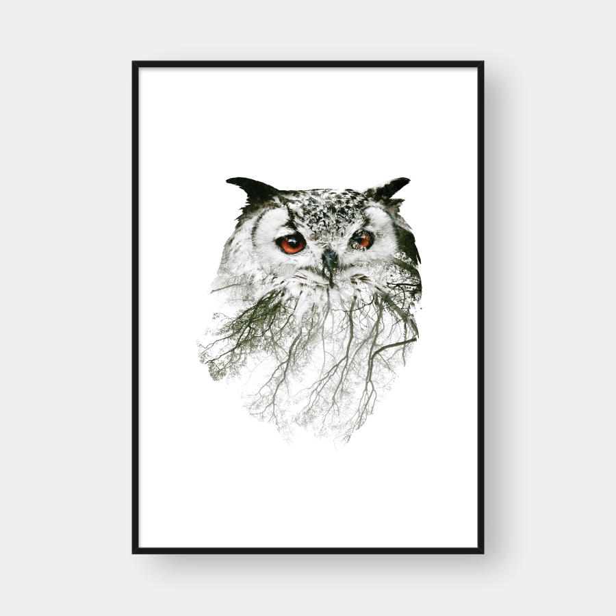  OWL DOUBLE EXPOSURE 