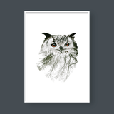  OWL DOUBLE EXPOSURE 