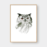  OWL DOUBLE EXPOSURE 