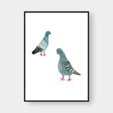  PIGEONS 