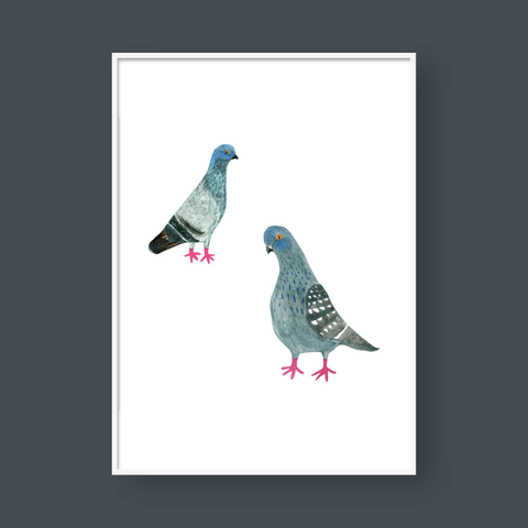  PIGEONS 