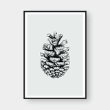  PINE SEEDS NO.1 