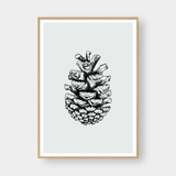  PINE SEEDS NO.1 