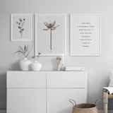  PURITY SET 02 