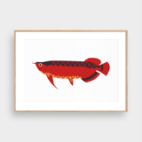  RED AROWANA 