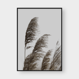  PAMPAS NO.1 