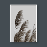  PAMPAS NO.1 