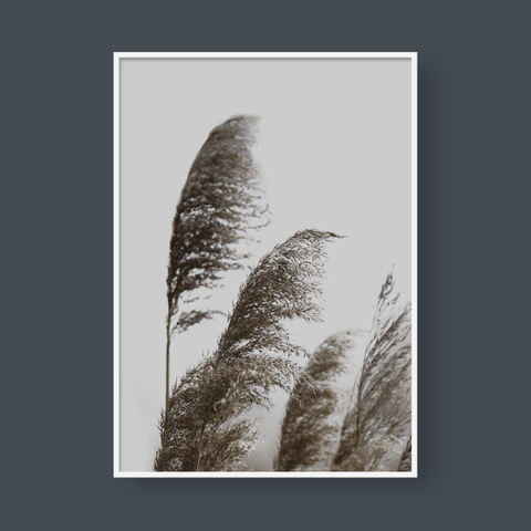  PAMPAS NO.1 