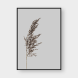  PAMPAS NO.3 