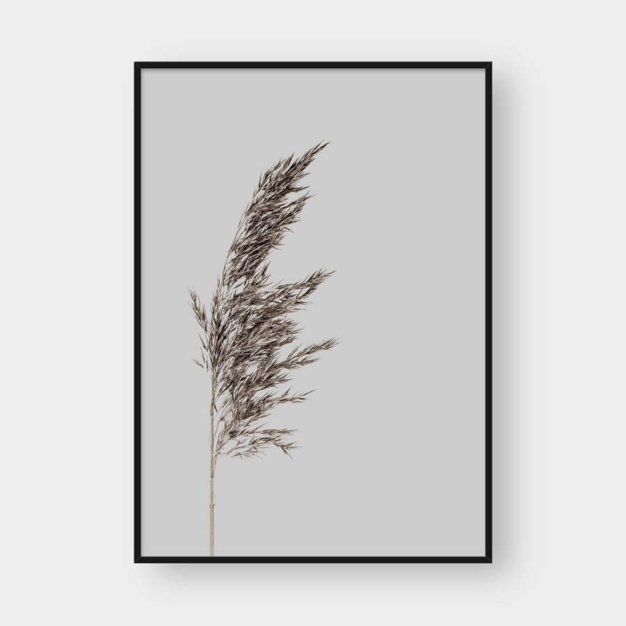  PAMPAS NO.3 