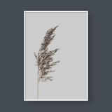  PAMPAS NO.3 
