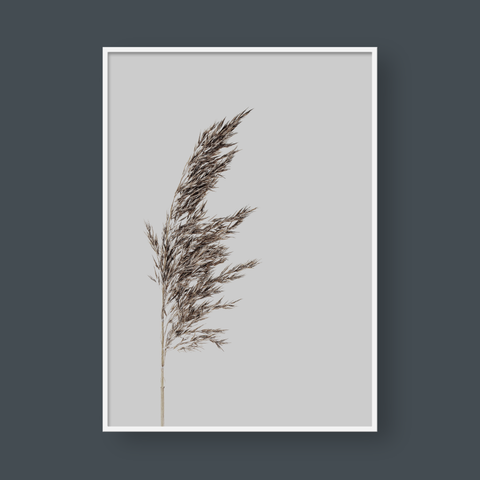  PAMPAS NO.3 