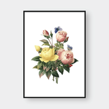  ROSE NO.6 