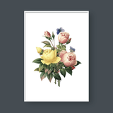  ROSE NO.6 