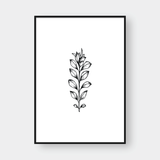  SKETCH FLOWER NO.1 