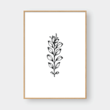  SKETCH FLOWER NO.1 