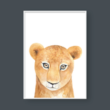  SKETCH LION 