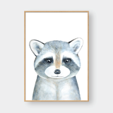  SKETCH RACOON 