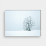  SNOW NO.1 