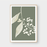  SOFT GREEN NO.01 