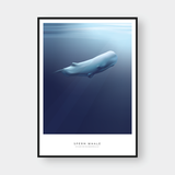  SPERM WHALE 