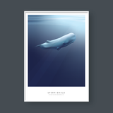  SPERM WHALE 