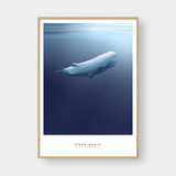  SPERM WHALE 