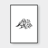  BIRDS SET NO.1 