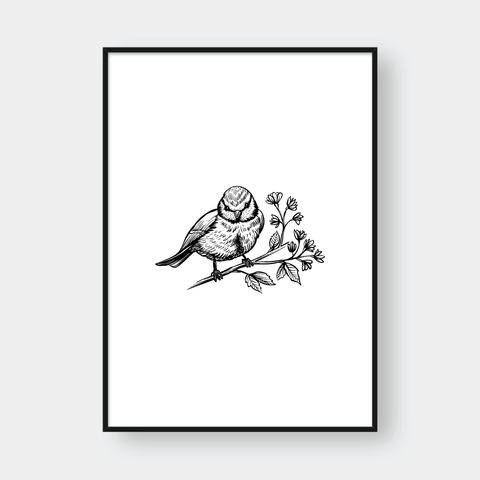  BIRDS SET NO.1 