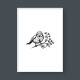  BIRDS SET NO.1 