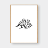  BIRDS SET NO.1 