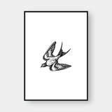  BIRDS SET NO.1 