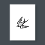  BIRDS SET NO.1 