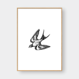  BIRDS SET NO.1 