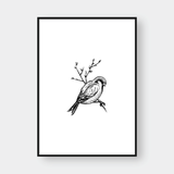  BIRDS SET NO.1 