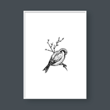  BIRDS SET NO.1 
