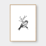  BIRDS SET NO.1 