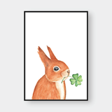  THE SQUIRREL NO.01 
