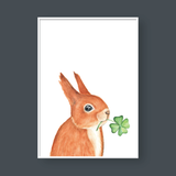  THE SQUIRREL NO.01 