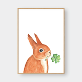  THE SQUIRREL NO.01 