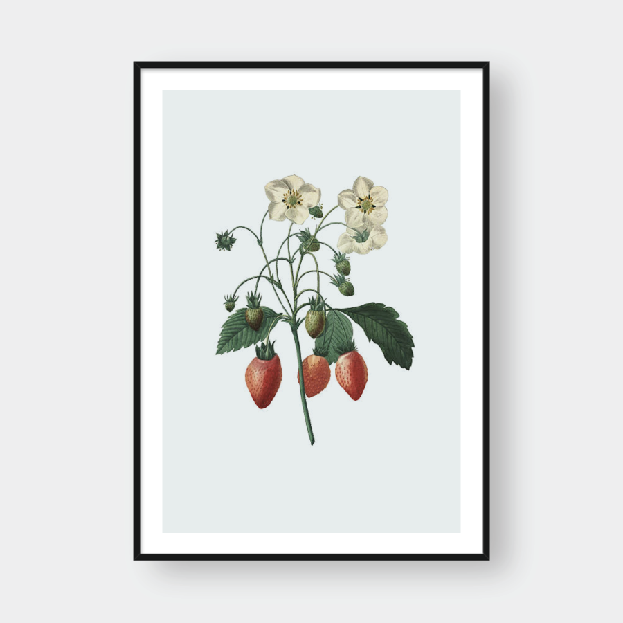  STRAWBERRY 