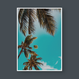  COCONUT TREES 