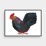  THE CHICKEN 
