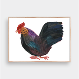  THE CHICKEN 