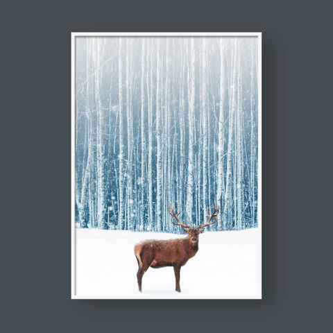  THE DEER & THE FOREST 