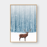  THE DEER & THE FOREST 