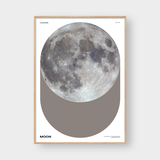  THE MOON 