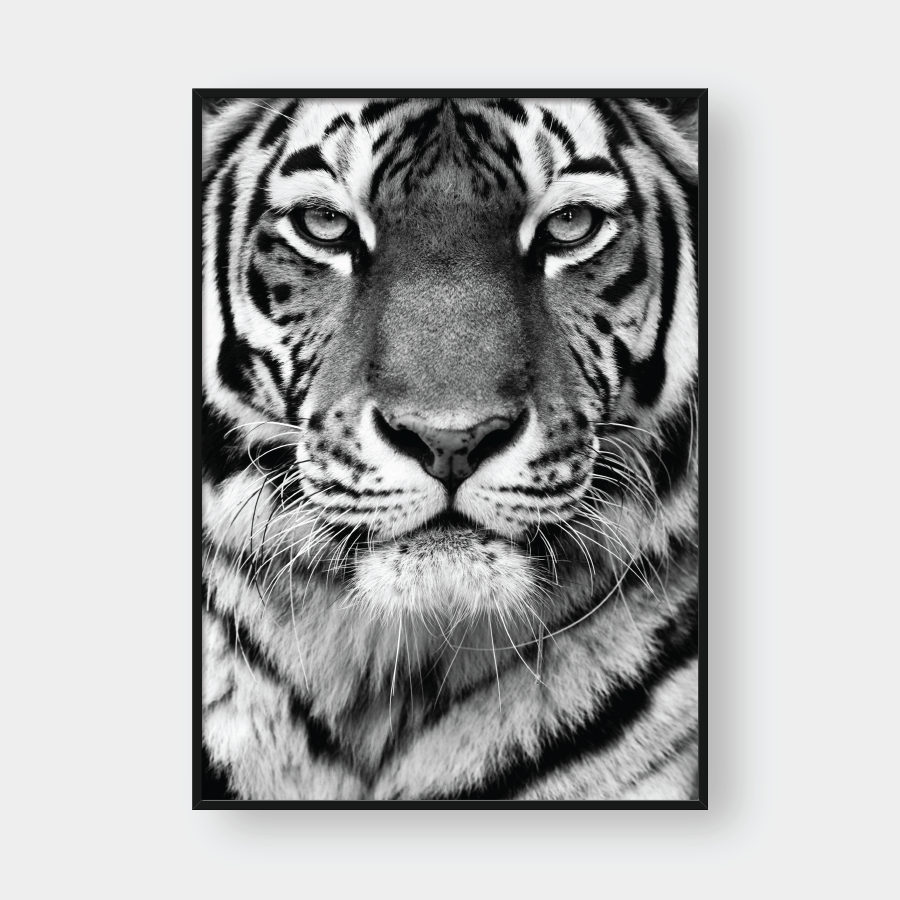  TIGER BLACK & WHITE 