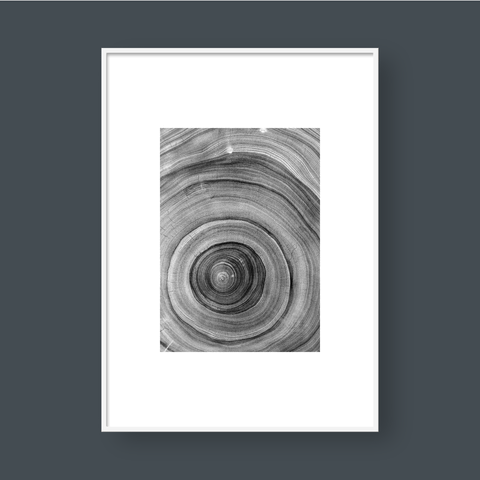  TREE RINGS 01 