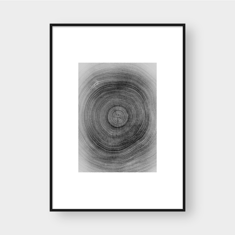  TREE RINGS 02 